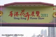 香港花卉展覽2011